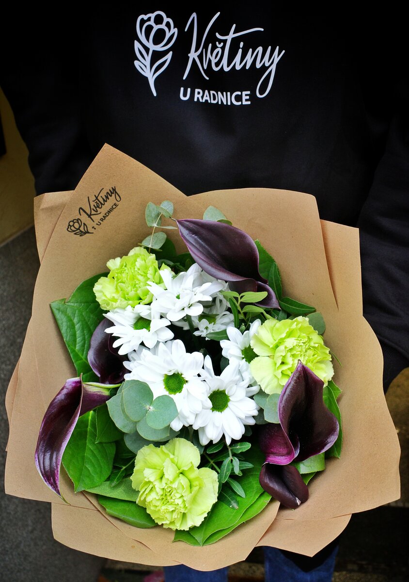 Pokojova rostlina - 370 Kč